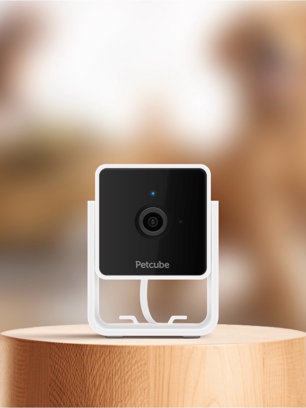 PetCube Pet Cameras - Set of 2 Cameras - New in box! Indoor